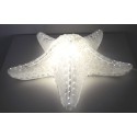 LAMPE "ETOILE DE MER"