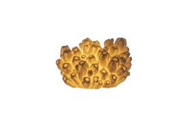 Lampe Corail